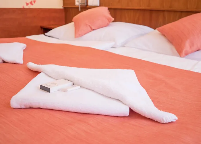 Hotel Alton Praag